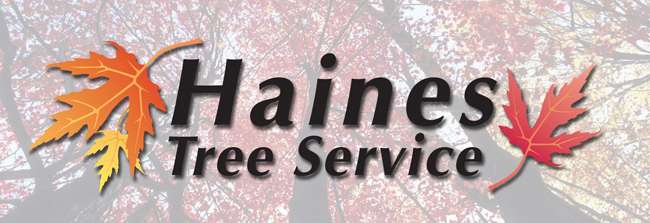 Haines Tree Service